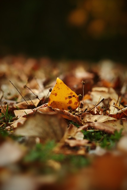 这一信息让 这一信息让