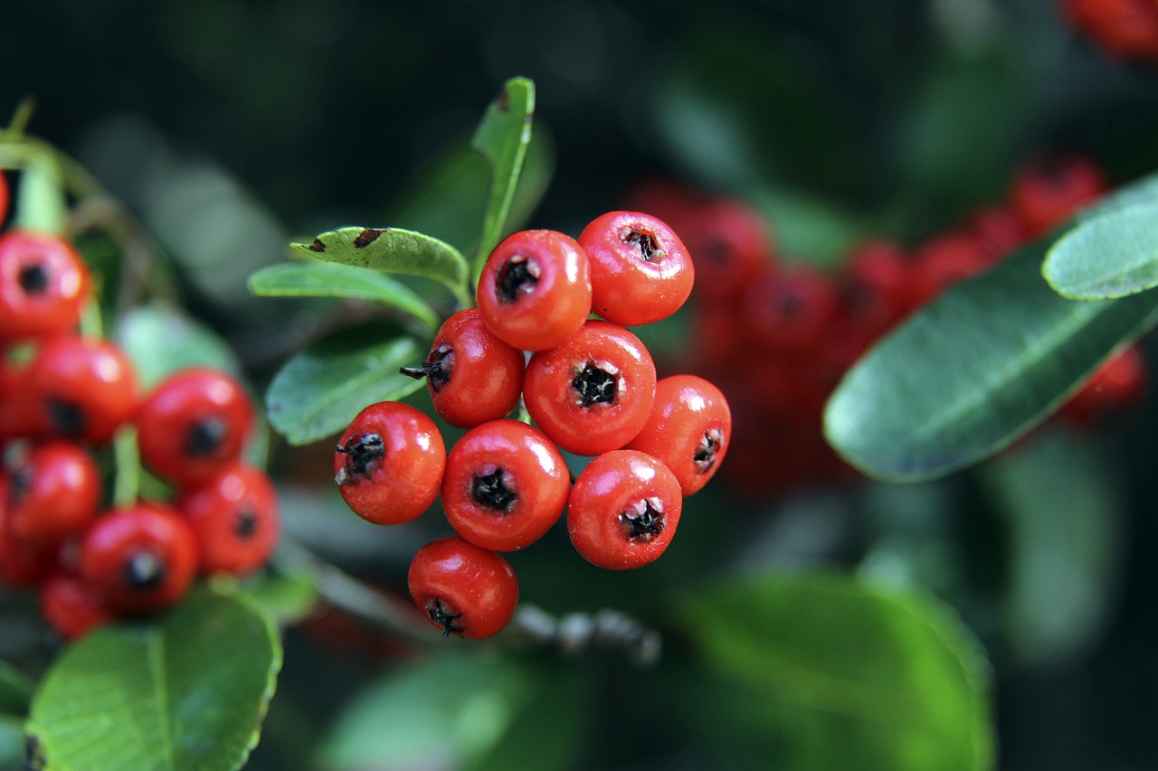 持和努力一 持和努力一