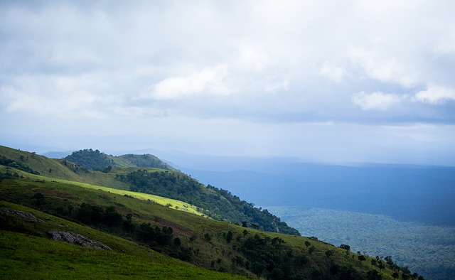 和博格丹的 和博格丹的