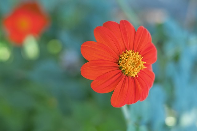 无法有效突 无法有效突