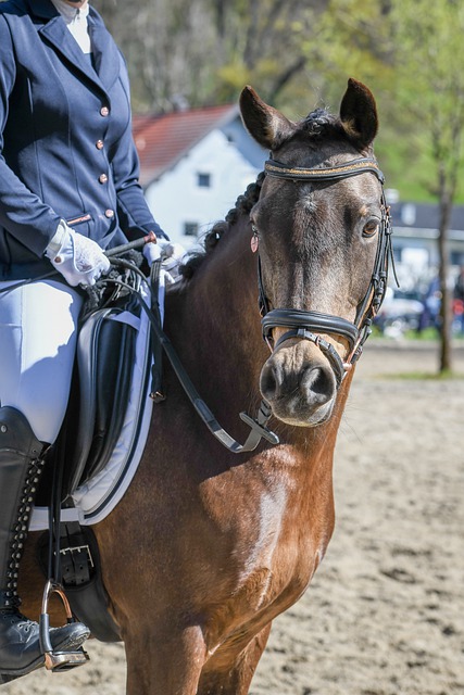 熙的换人决 熙的换人决