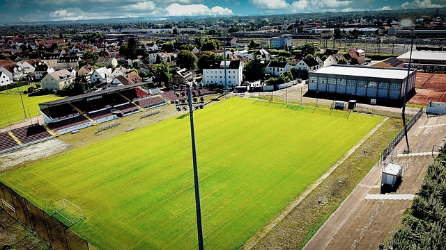 投向获得全 投向获得全