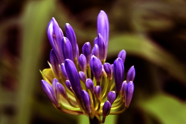 康復過程 康復過程