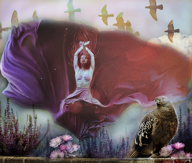 为球迷们揭 为球迷们揭