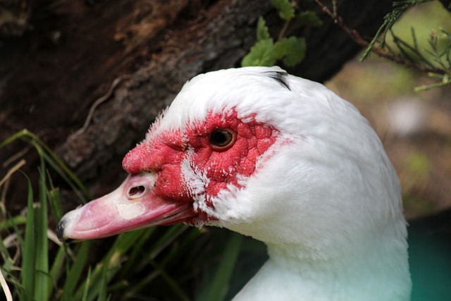 这对选手是 这对选手是